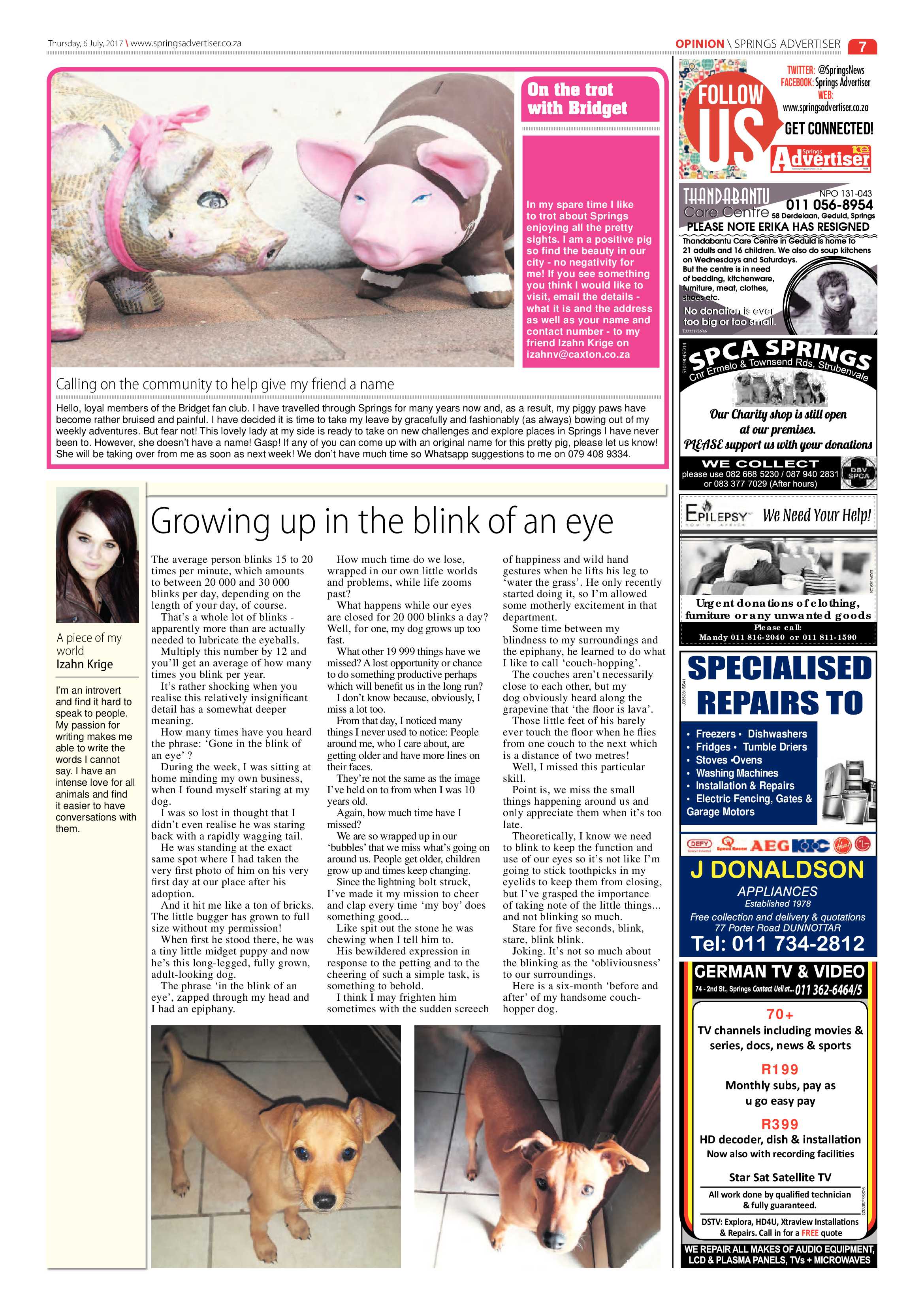 Springs Advertiser 06 July 2017 page 7
