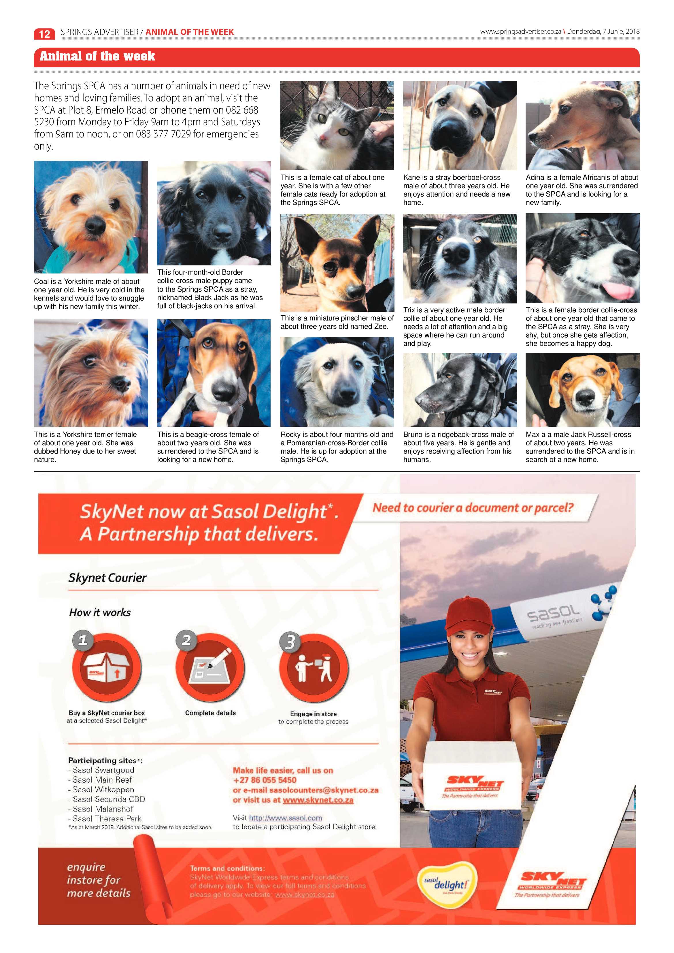 Springs Advertiser 07 June 2018 page 12