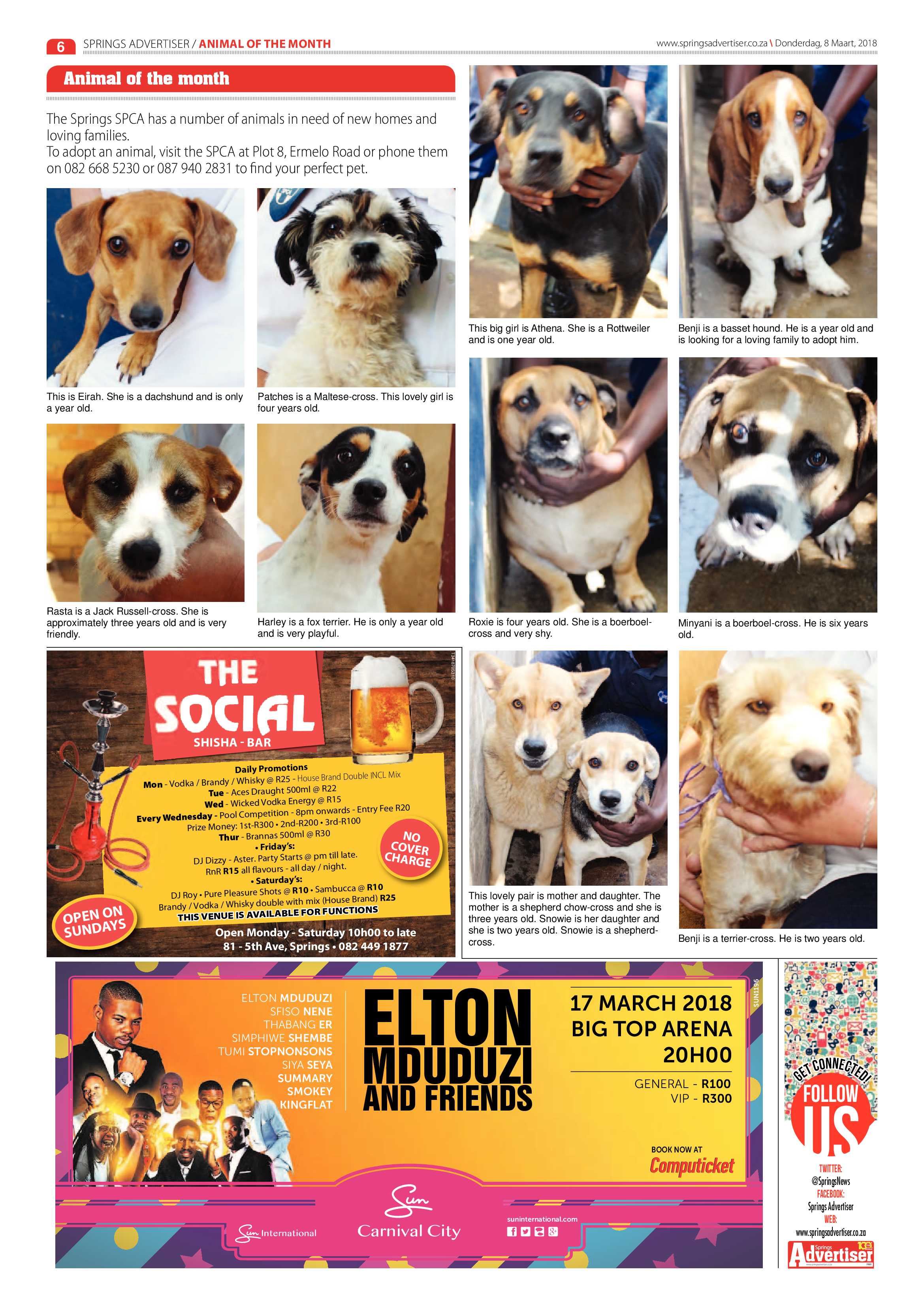 Springs Advertiser 08 March 2018 page 6