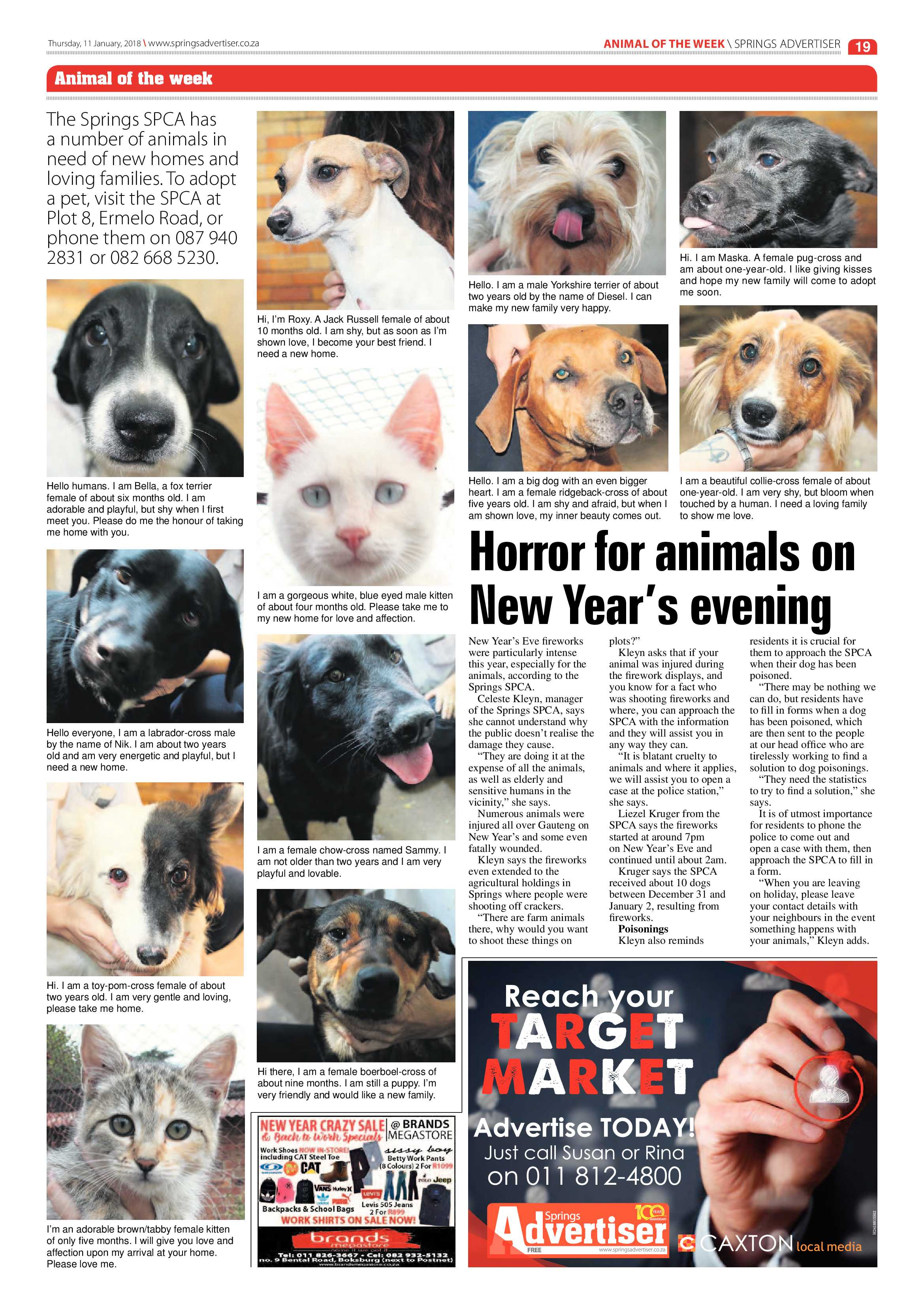Springs Advertiser 11 January 2018 page 19