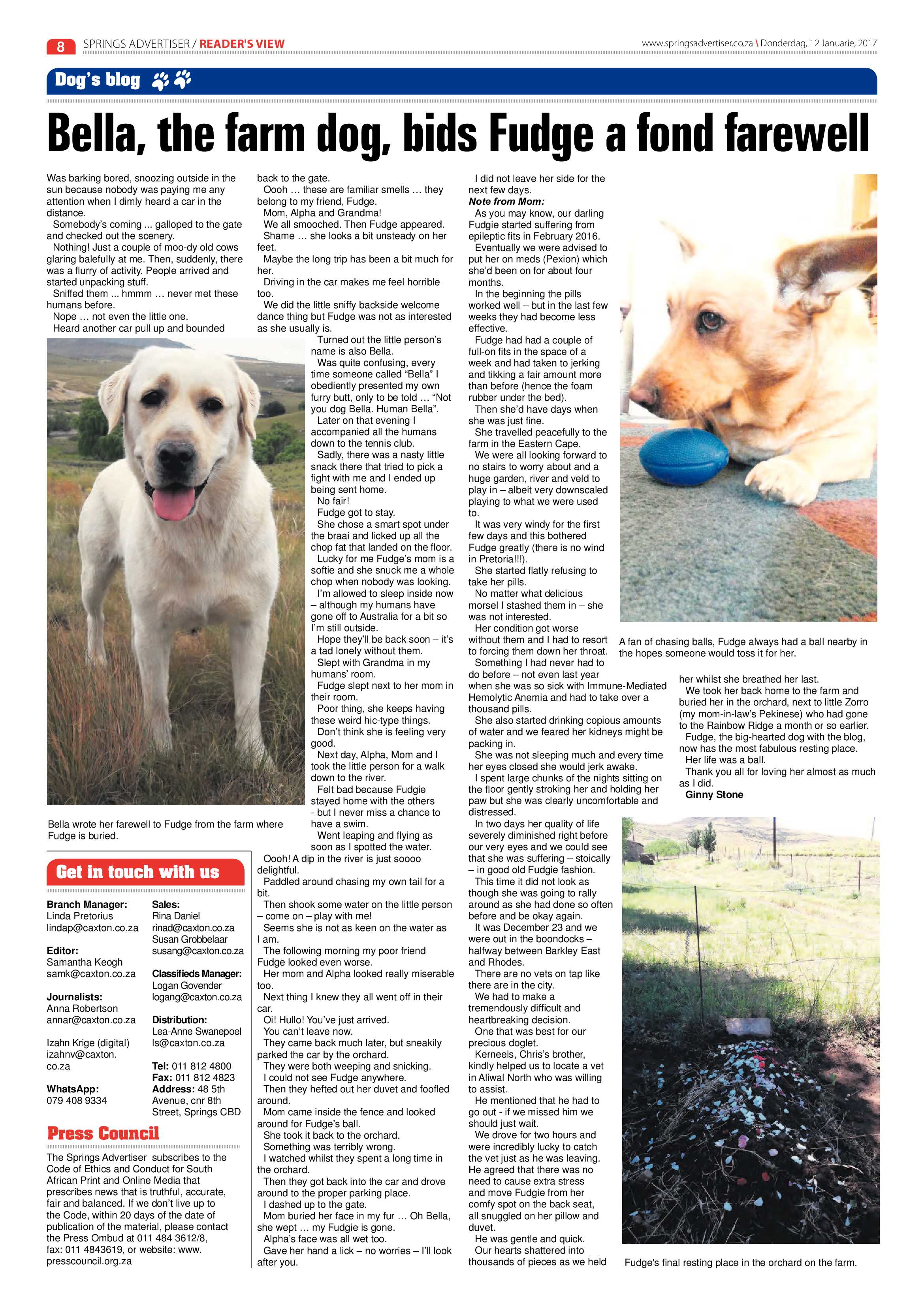 Springs Advertiser 12 January 2017 page 8