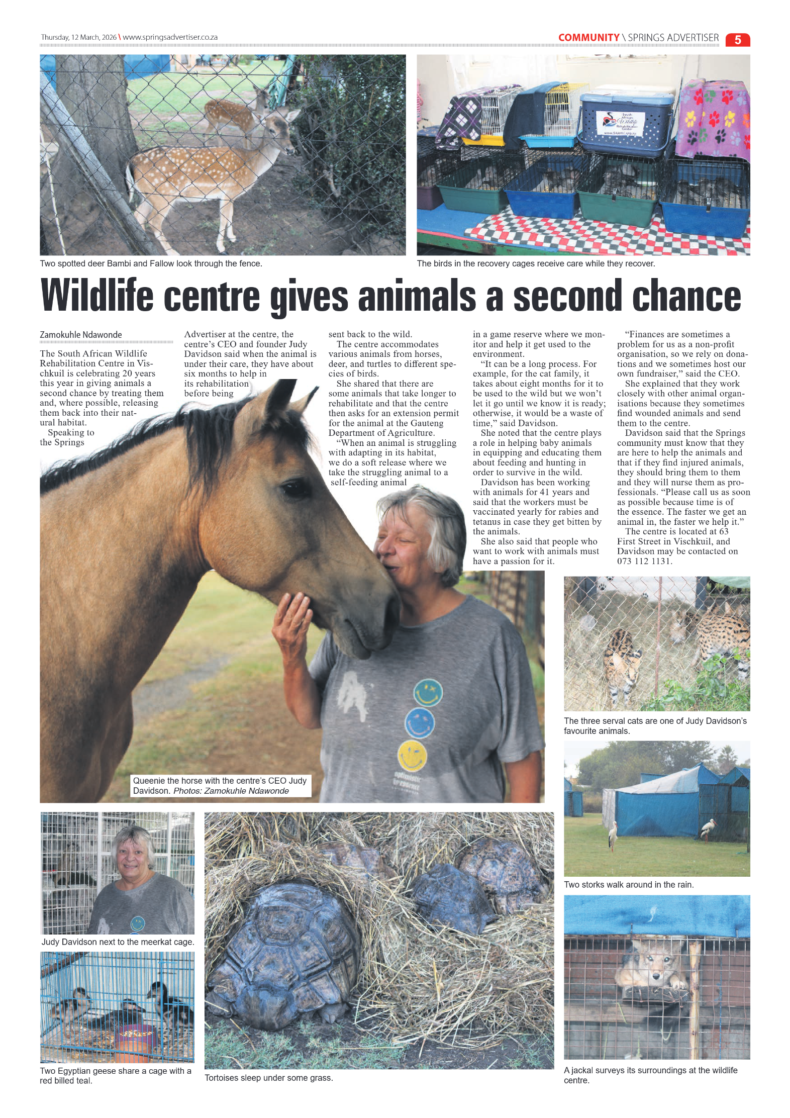 Springs Advertiser 12 March 2026 page 7