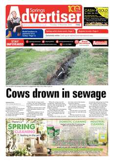 Springs Advertiser 15 November 2018