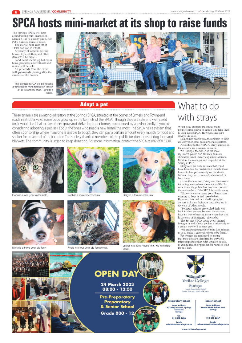 Springs Advertiser 16 March 2023 page 6