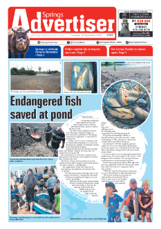 Springs Advertiser 19 September 2024