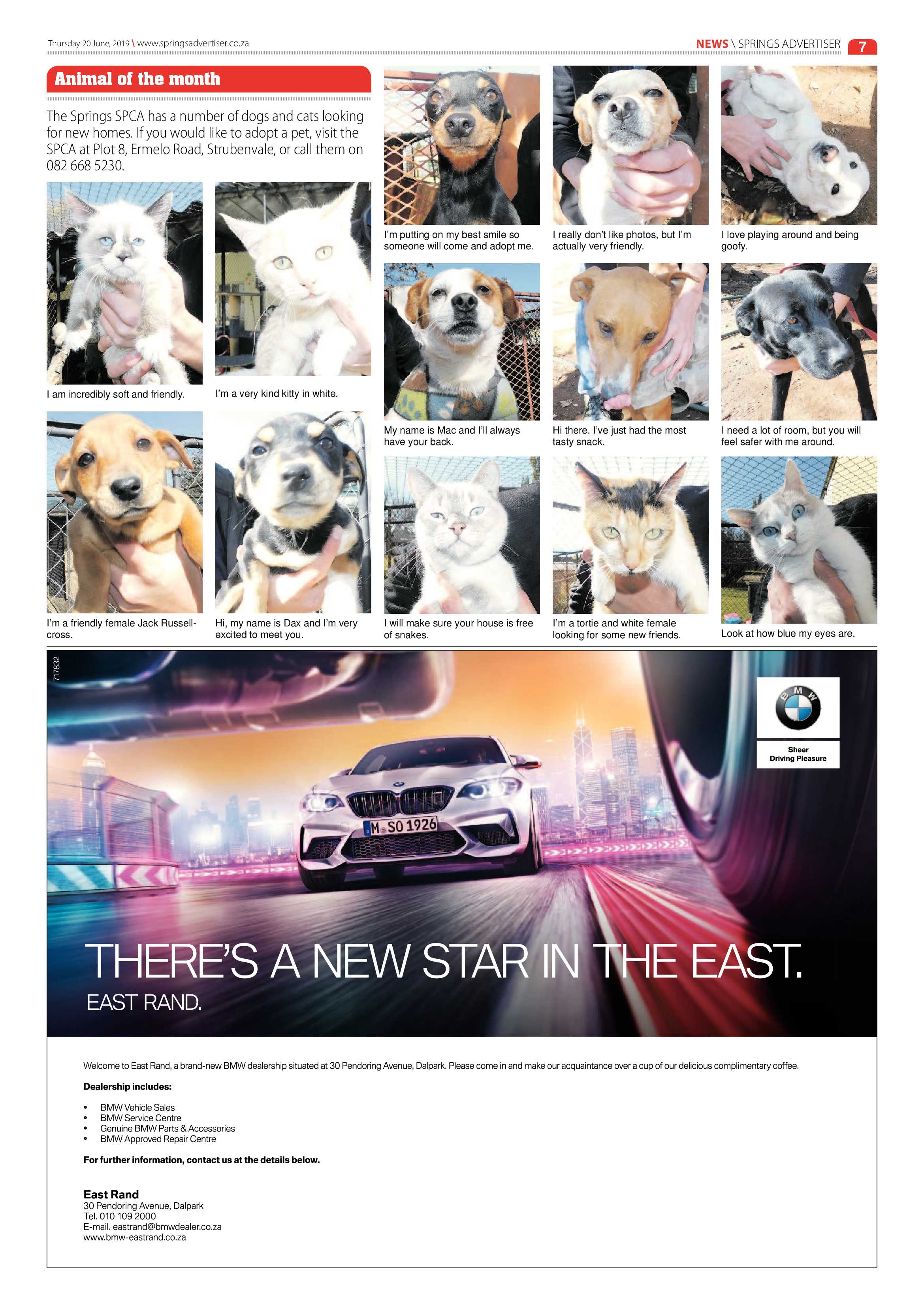 Springs Advertiser 20 June 2019 page 7