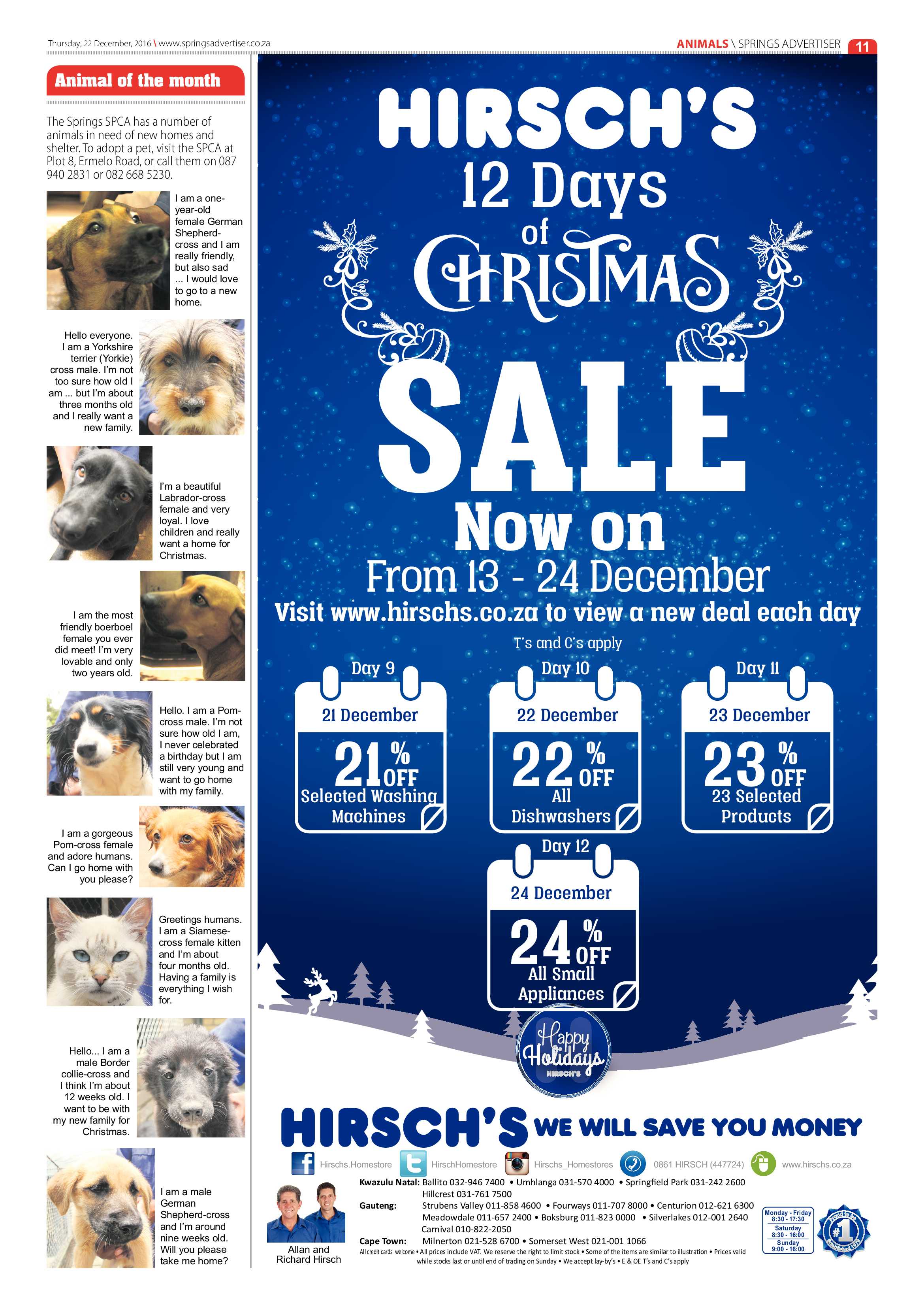Springs Advertiser 22 December 2016 page 11