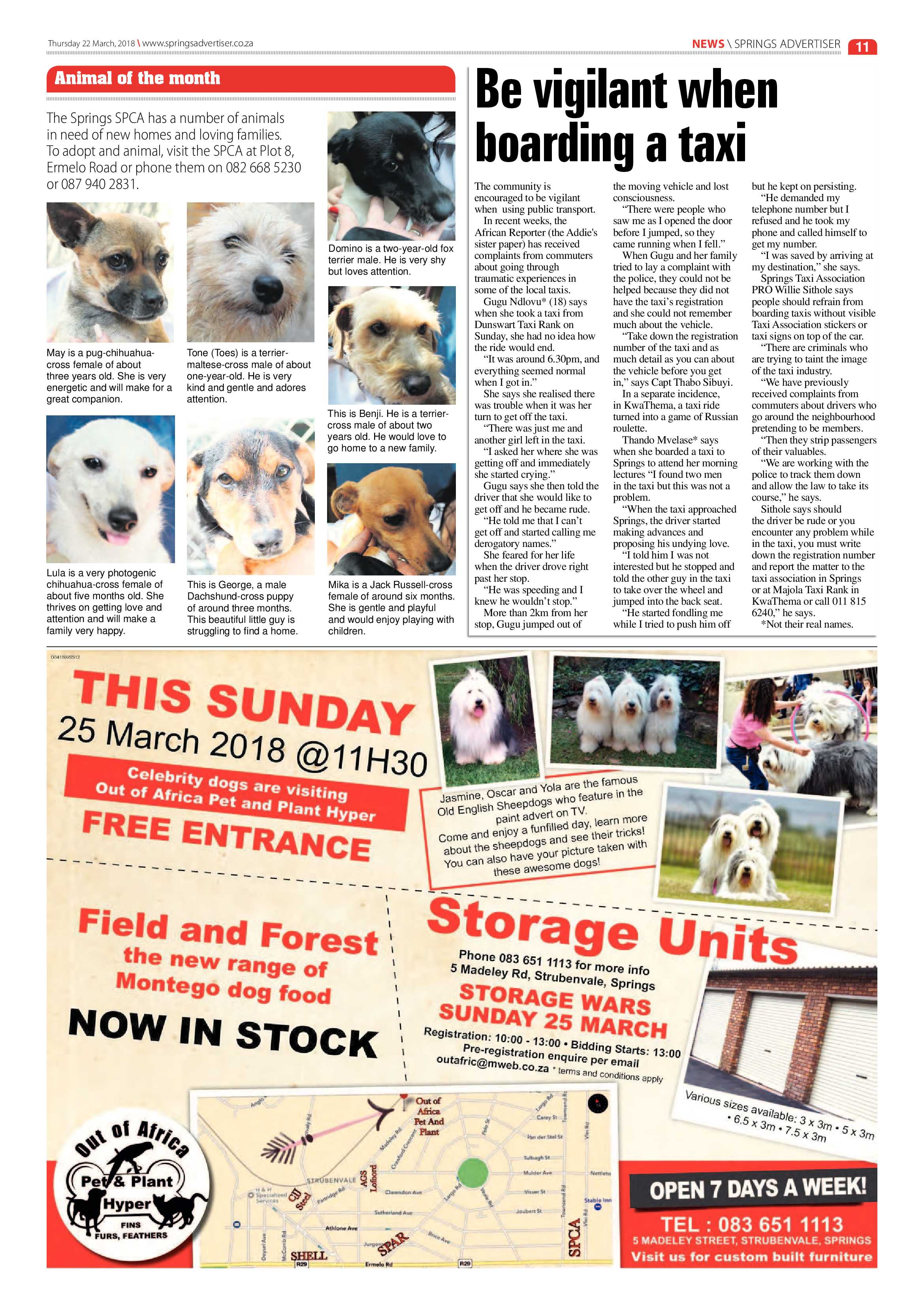 Springs Advertiser 22 March 2018 page 13
