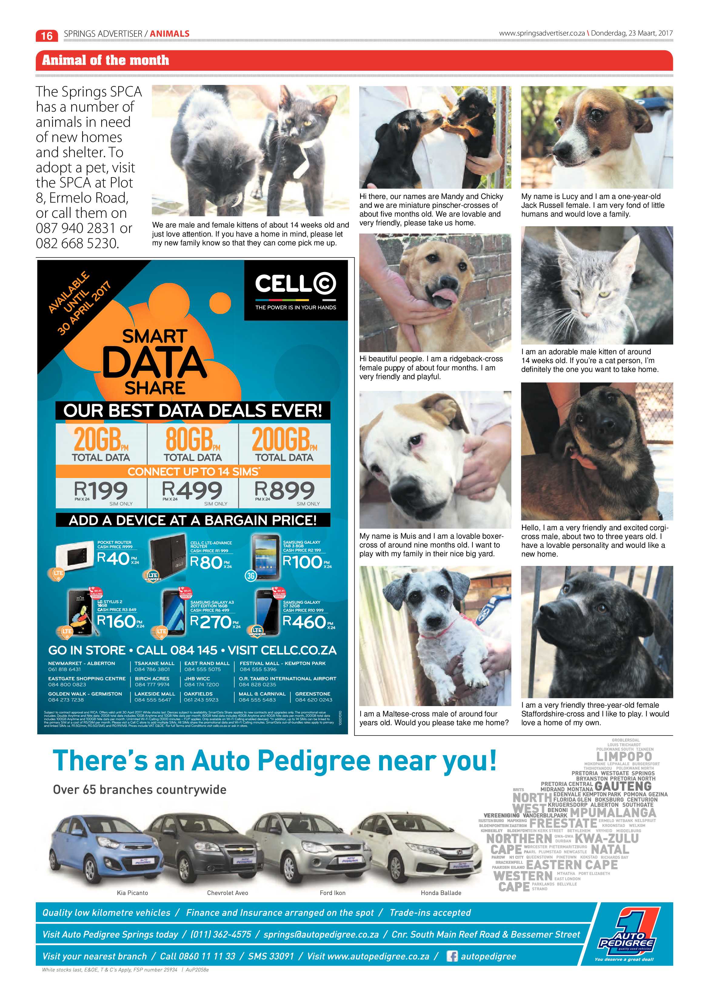 Springs Advertiser 23 March 2017 page 16