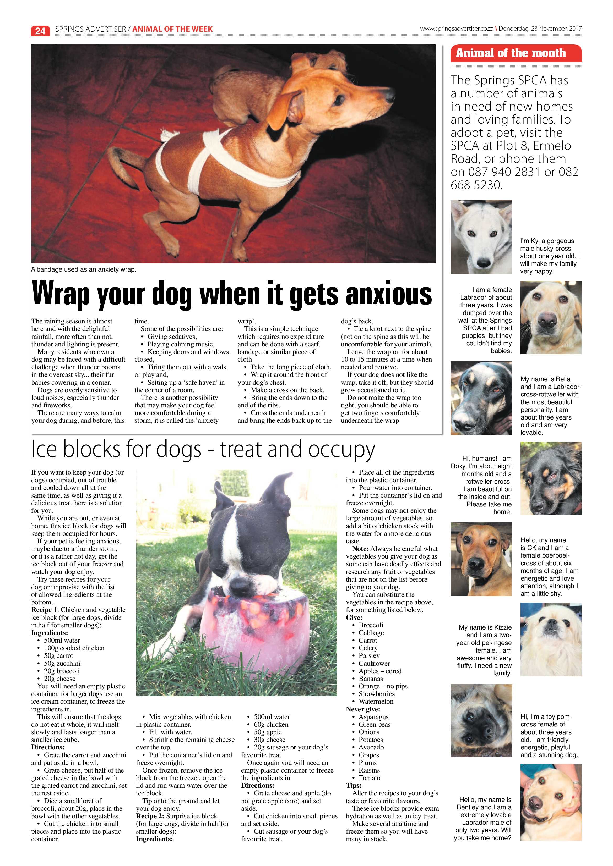 Springs Advertiser 23 November 2017 page 24