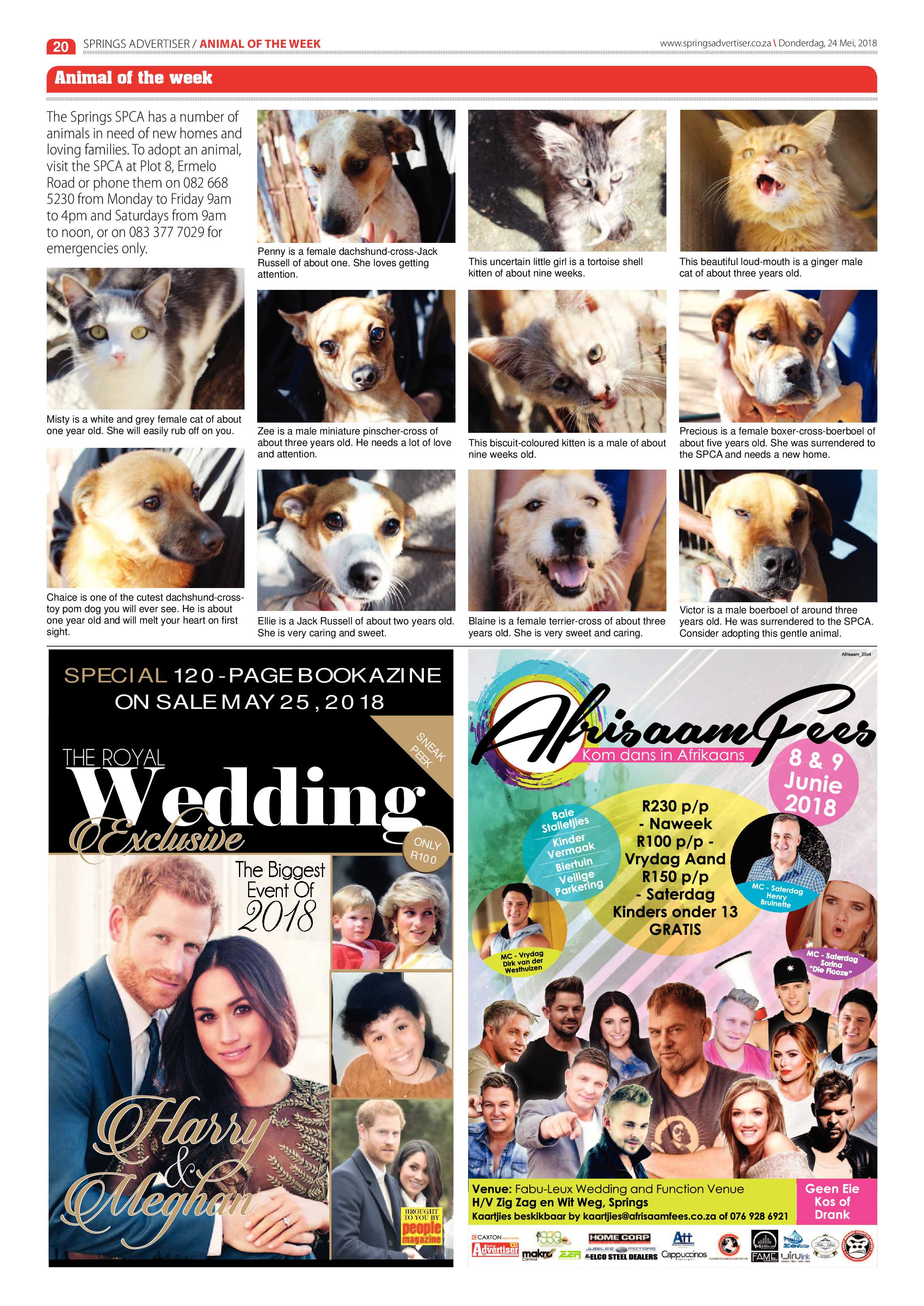 Springs Advertiser 24 May 2018 page 22