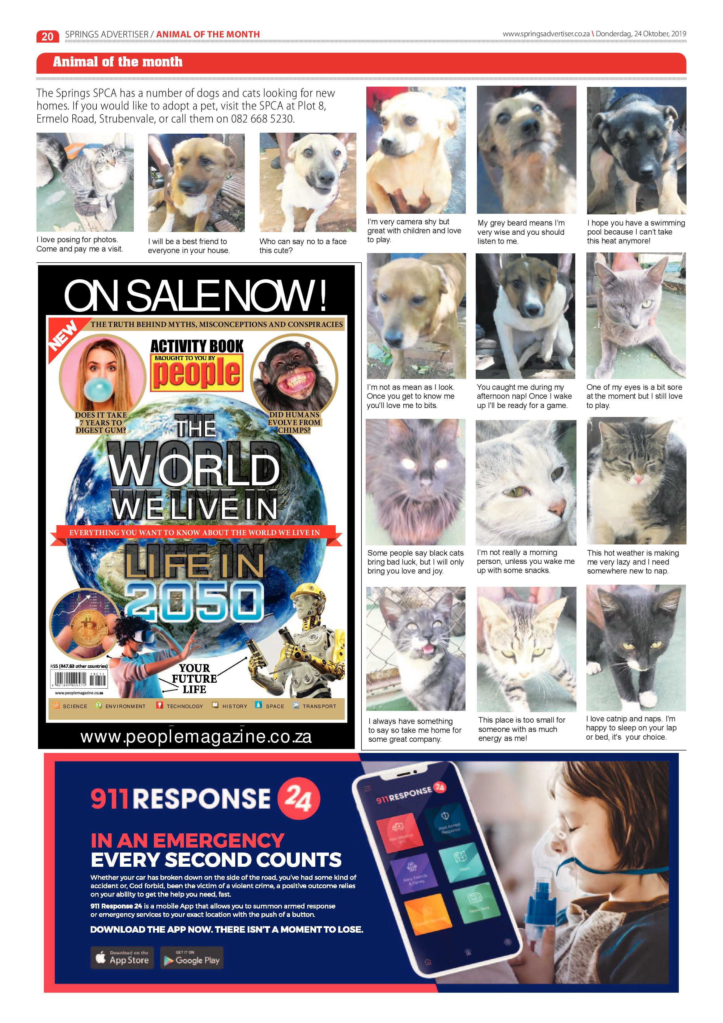 Springs Advertiser 24 October 2019 page 20