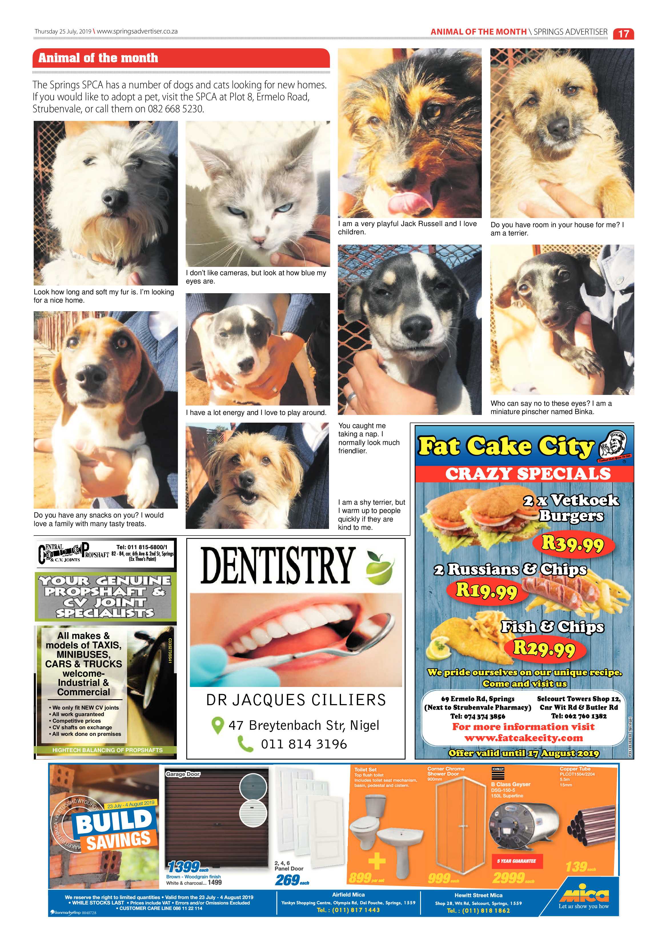 Springs Advertiser 25 July 2019 page 17