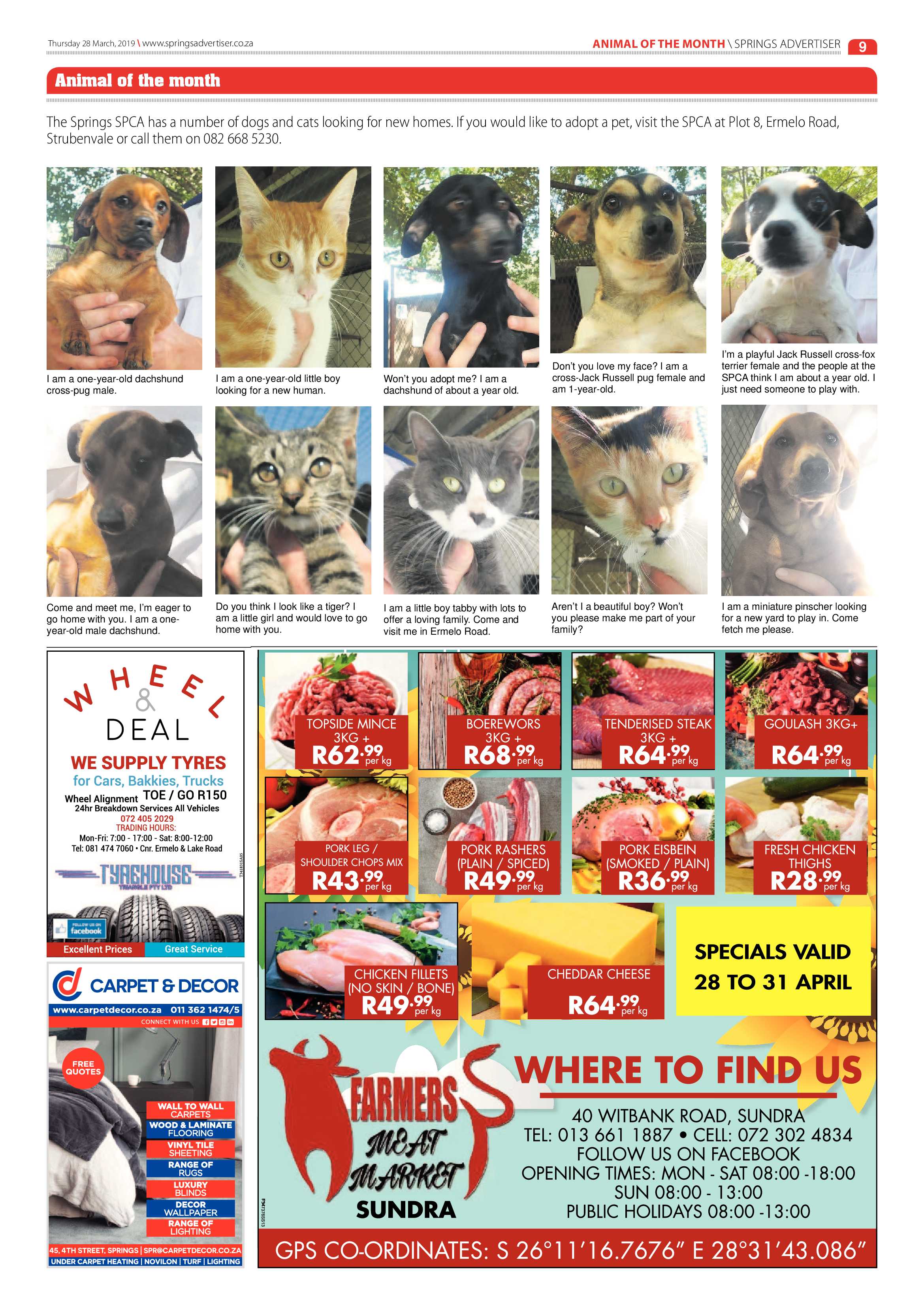 Springs Advertiser 28 March 2019 page 9