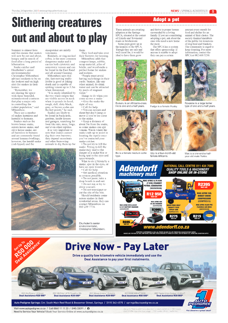 Springs Advertiser 28 September 2023 page 5