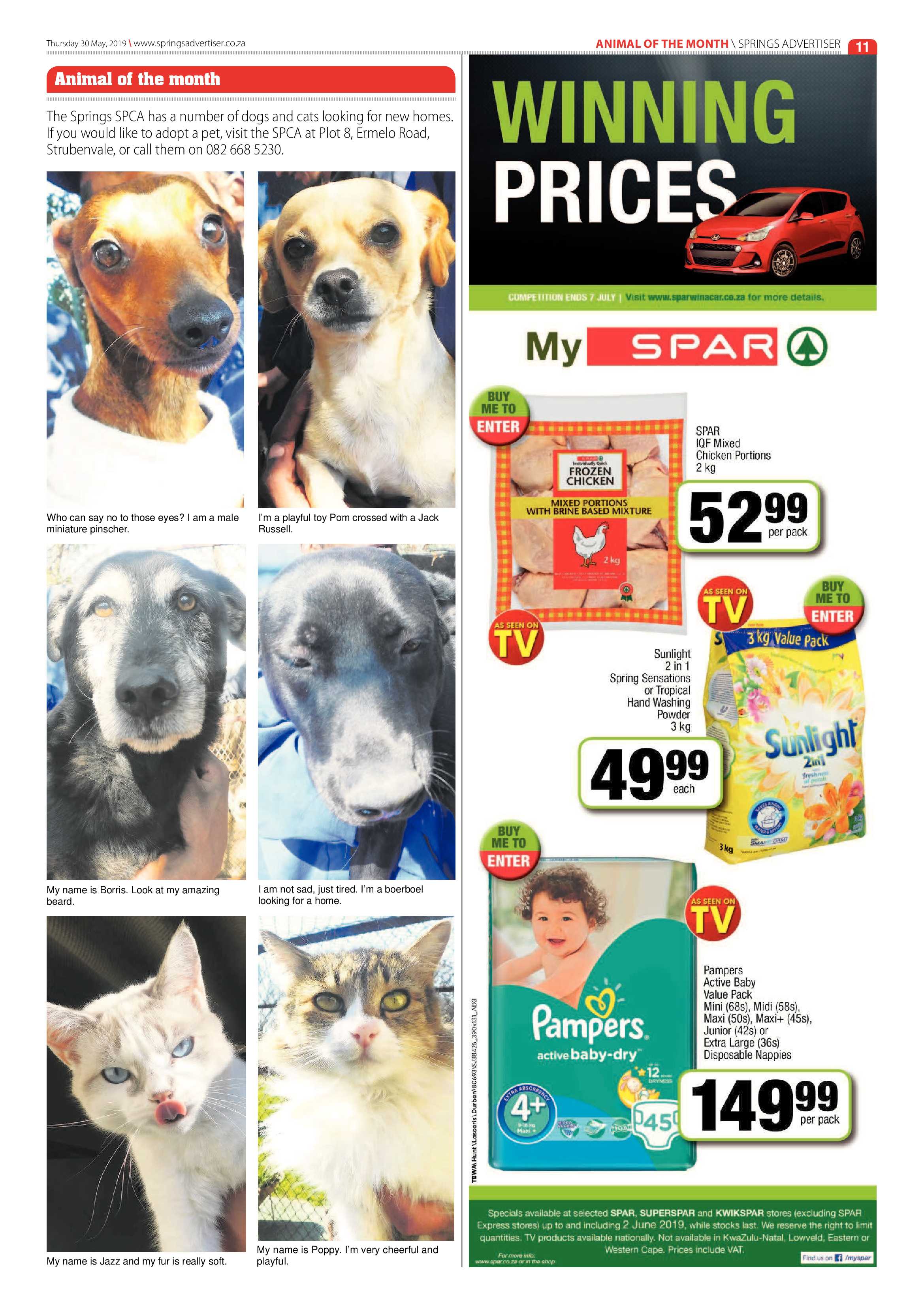 Springs Advertiser 30 May 2019 page 11