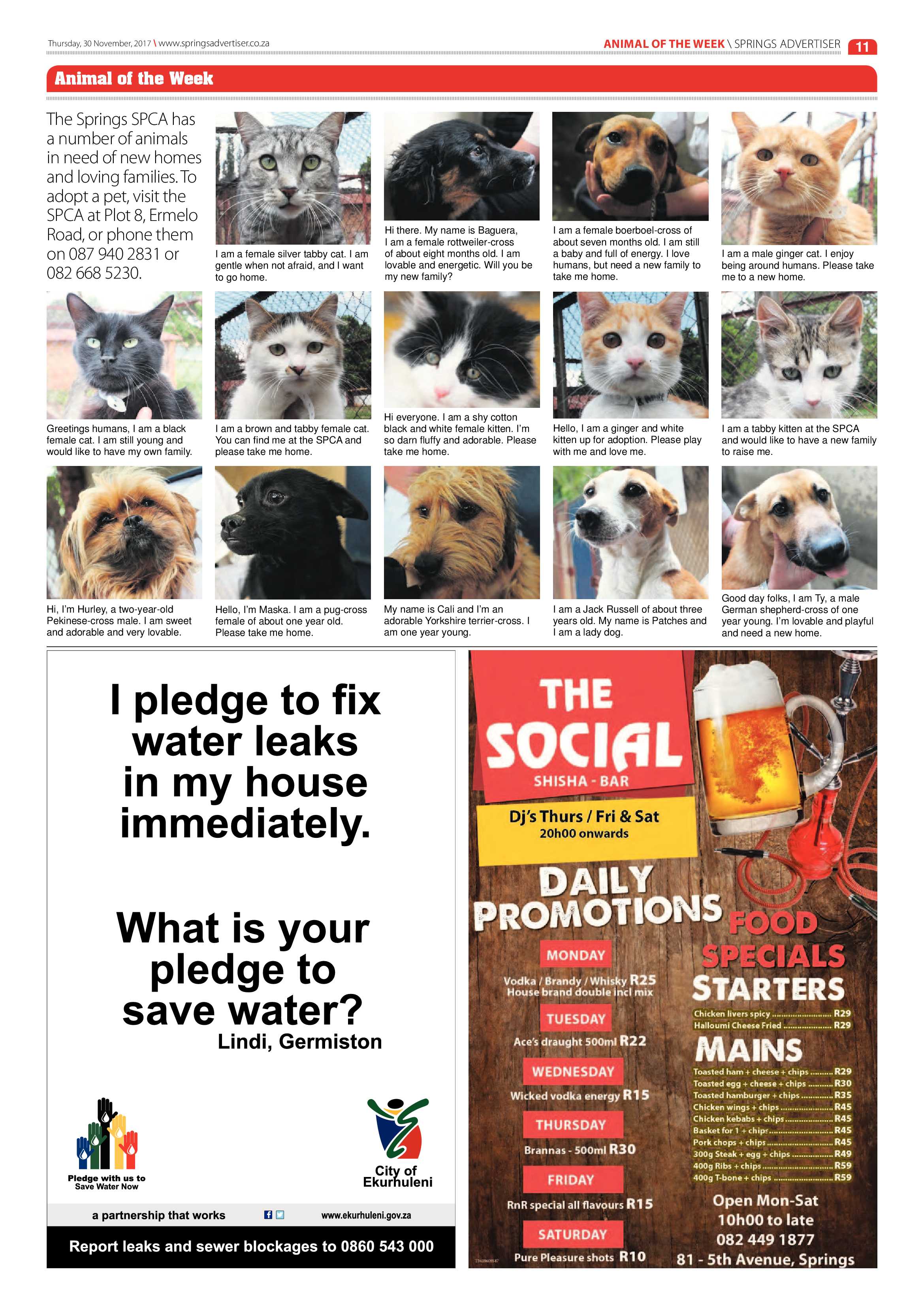Springs Advertiser 30 November 2017 page 11